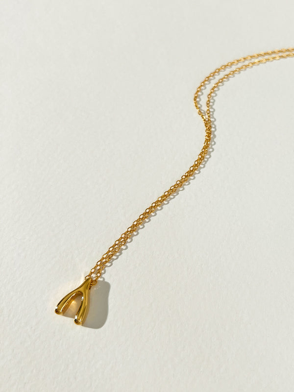 Unlocking - Wishbone Charm Necklace